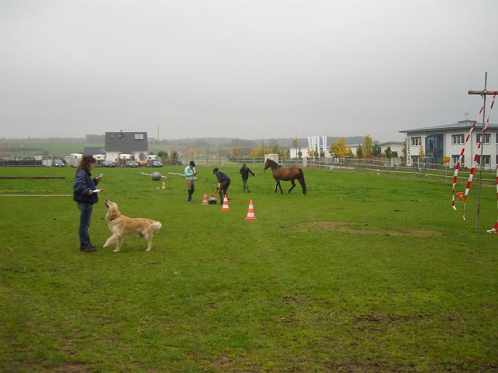 DSCI0400